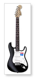  FENDER Stratocaster (2007)