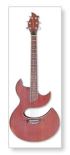   GUITAR MAN (2010)