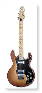 - PEAVEY T-60 (1978)