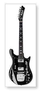   Custom (2008)
